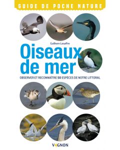 Seabirds: observe and recognize 50 species from our coast VAGNON