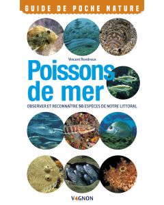 Marine mammals: observe and recognize 50 species from French waters VAGNON