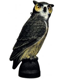Classic owl