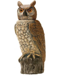 Owl with pivoting head