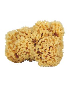 DOCKSOAP Natural sponge